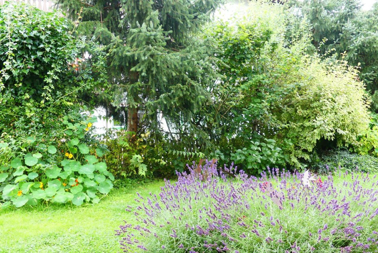 Ferienwohnungen Familie Wetzlinger Bad Kleinkirchheim Εξωτερικό φωτογραφία