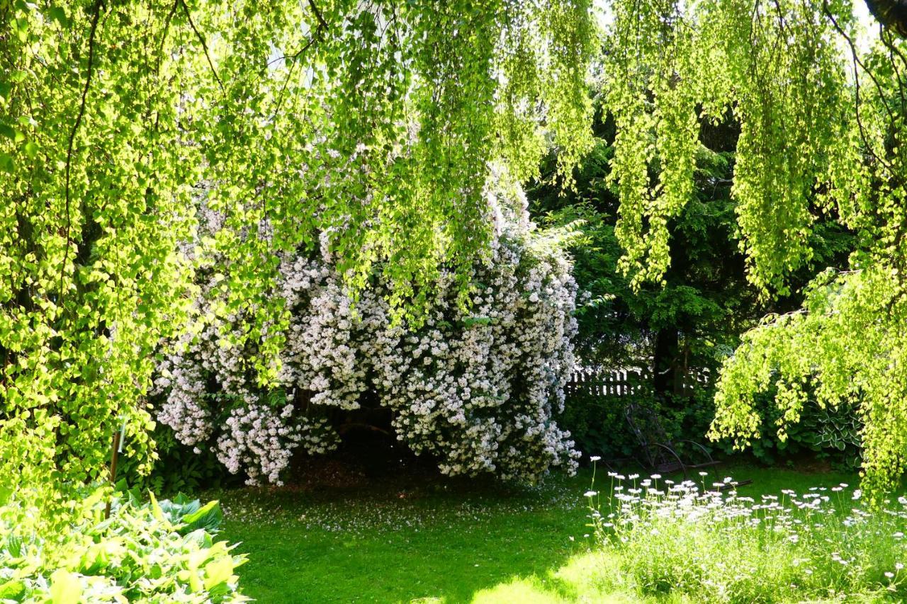 Ferienwohnungen Familie Wetzlinger Bad Kleinkirchheim Εξωτερικό φωτογραφία